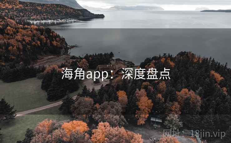 海角app：深度盘点