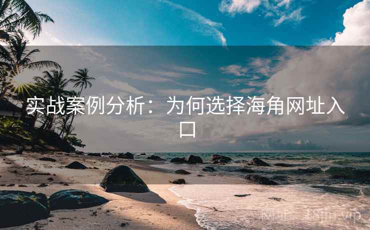实战案例分析:为何选择海角网址入口