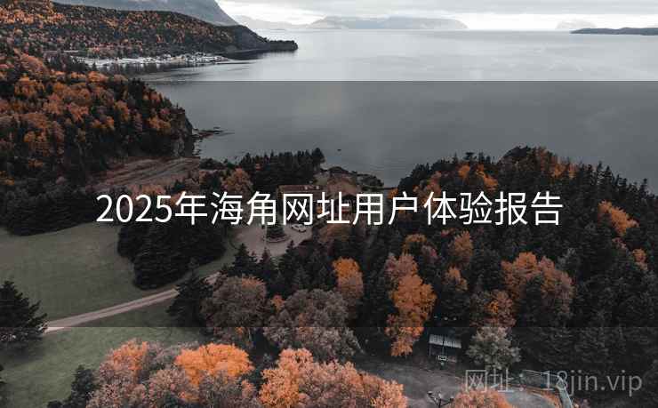 2025年海角网址用户体验报告