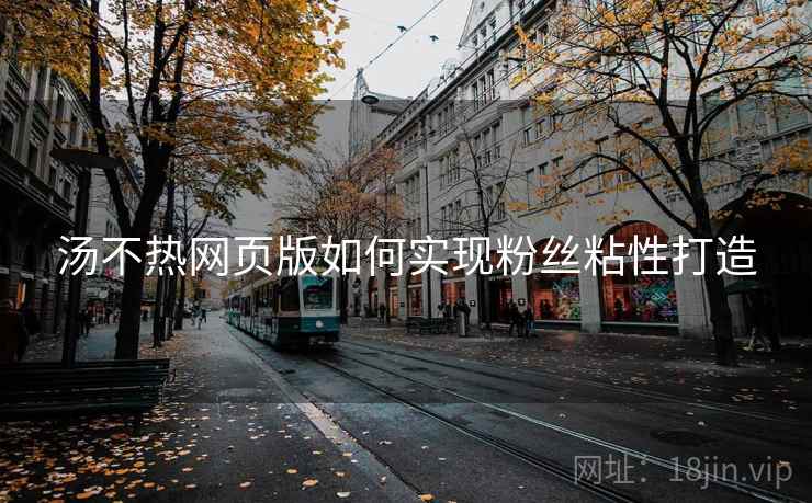 汤不热网页版如何实现粉丝粘性打造