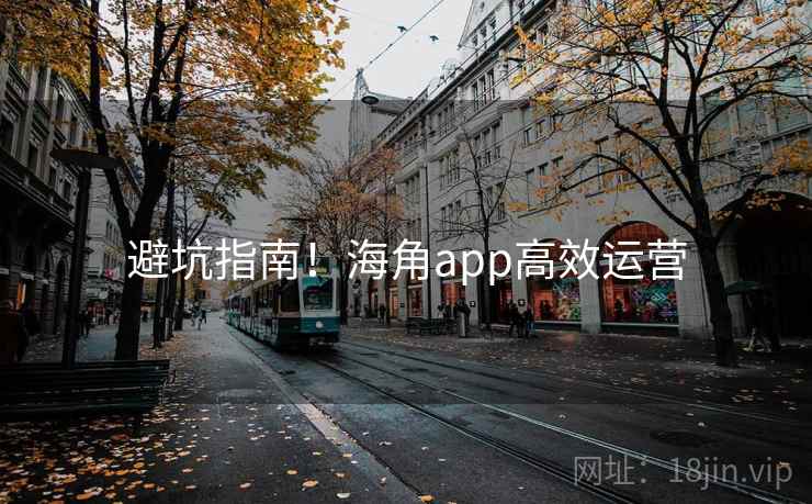 避坑指南!海角app高效运营