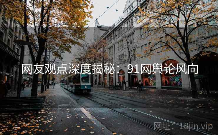 网友观点深度揭秘:91网舆论风向