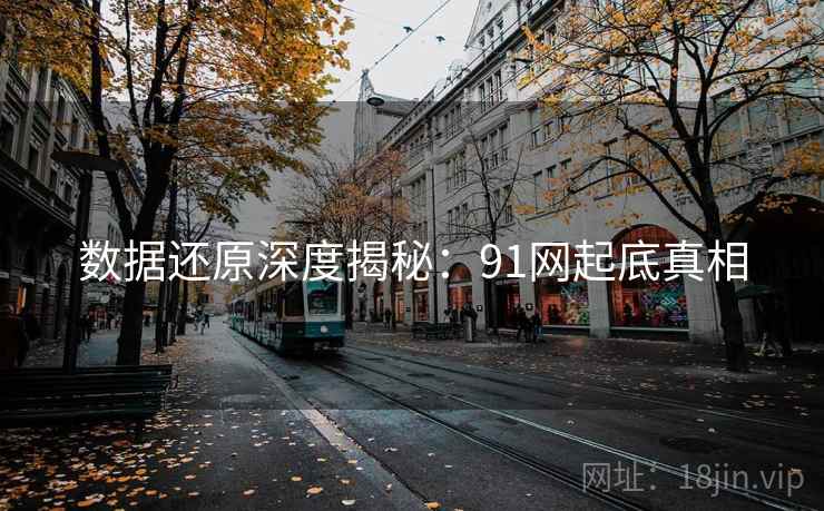 数据还原深度揭秘:91网起底真相